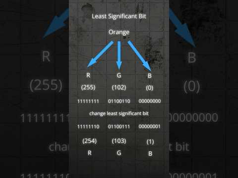 How does steganography actually work?  #shorts #facts #reels #science #computer #knowledge