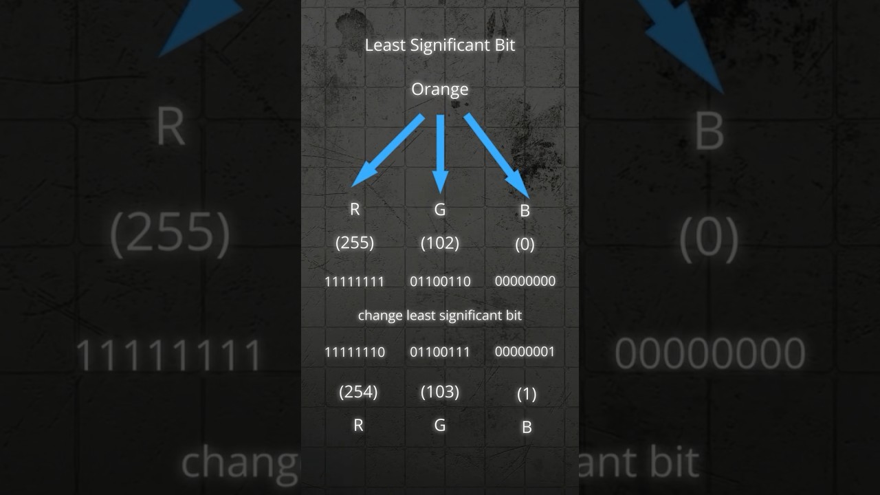Unlocking the Secrets of Steganography 🔍 | Hidden Messages in Files