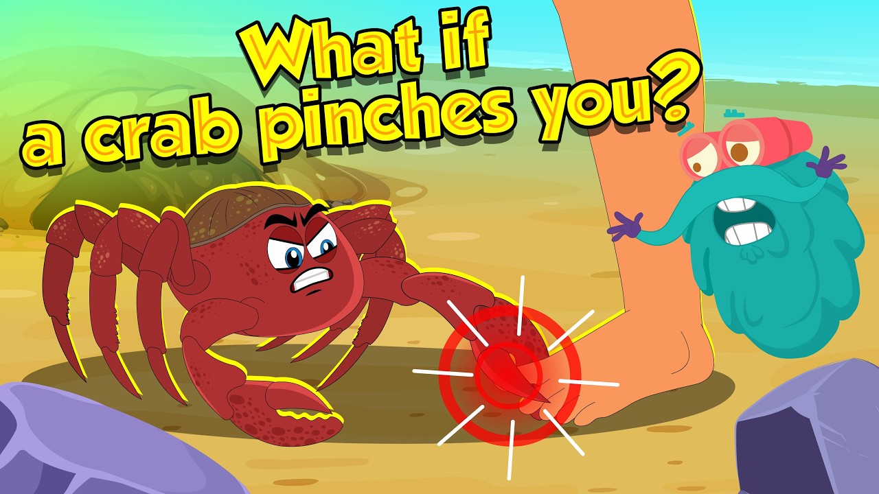 What Happens If a Crab Pinches You? 🦀 How Strong Is Crabs Claw? | How to Survive | Dr. Binocs Show
