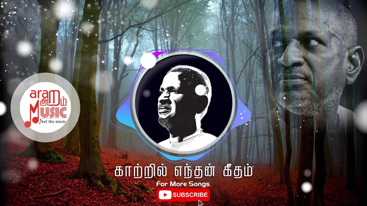Ilayaraja Instrumental Melody | Kaatril Enthan Geetham 🎶