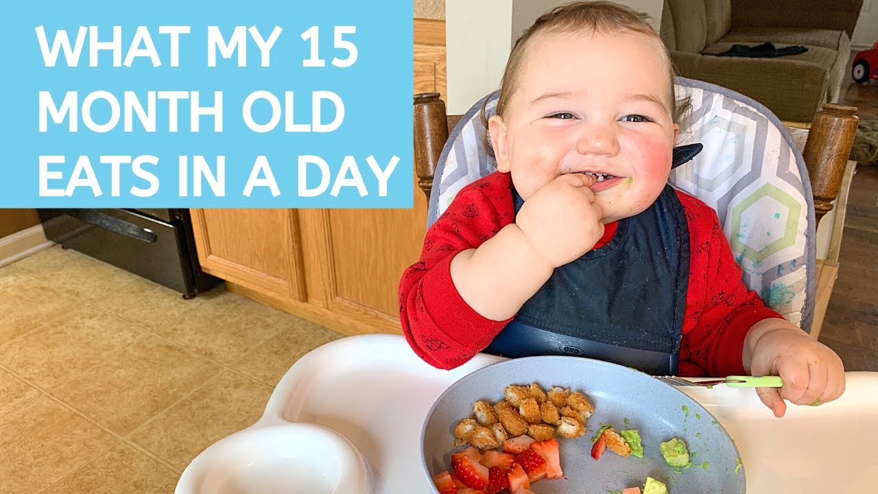 What a 15-Month-Old Eats in a Day 🍽️