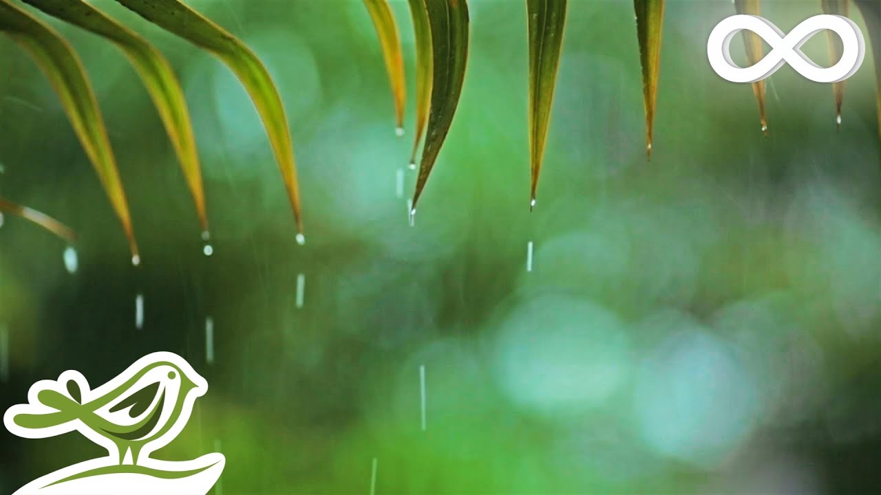 Relaxing Piano & Rain Sounds for Sleep 🎶