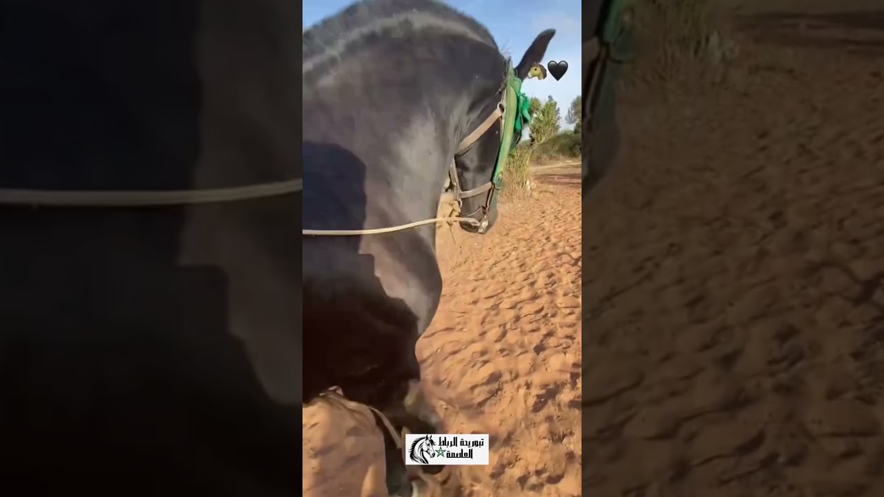 دعاء جميل يرزقك ما تتمنى 💫