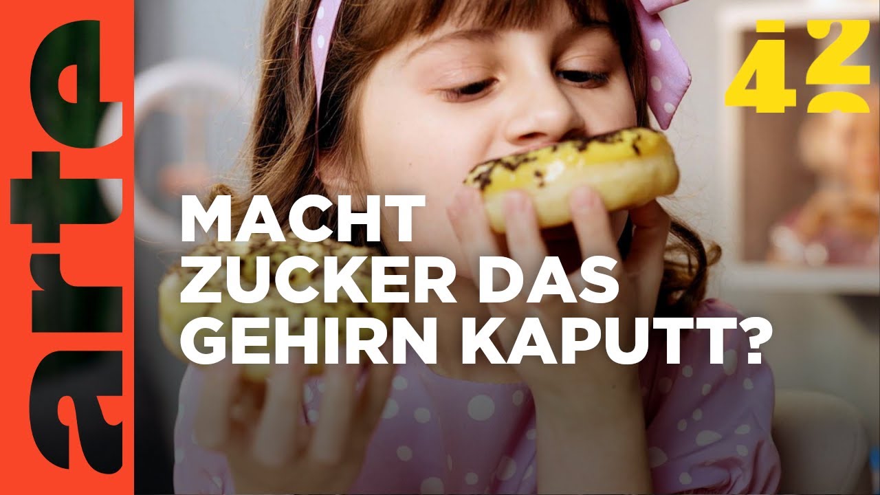Zucker und Intelligenz: Ist Zucker wirklich dumm? 🍬