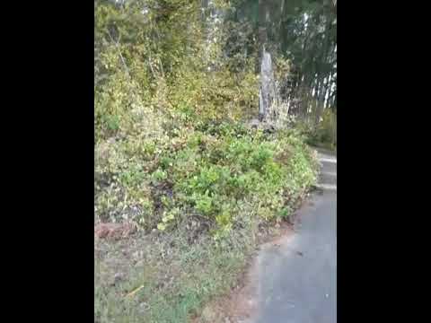 CISSP 5 16 symmetric cryptography 20231101 110953