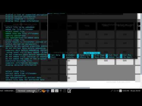 Steganography Motivated CTF (THS)