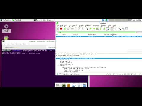 Sending hidden messages through DNS packets | Steganography