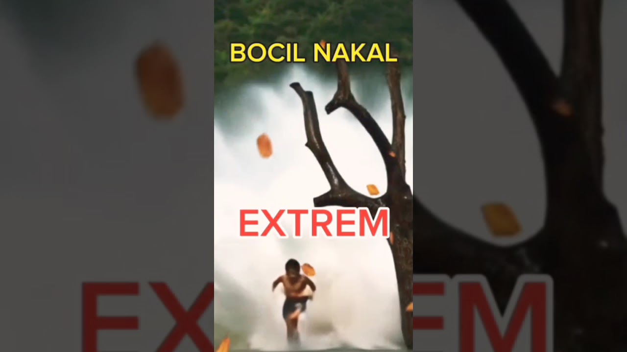 BOCIL NAKAL _ EXTREM. #adupantun #fingerstyle #beyonce #musiknostalgia