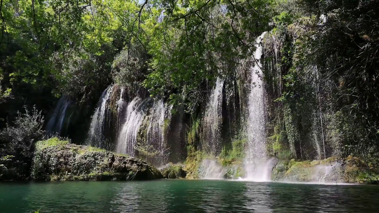 Wasserfall & Vogelgesang im Wald 🌲 zum Einschlafen