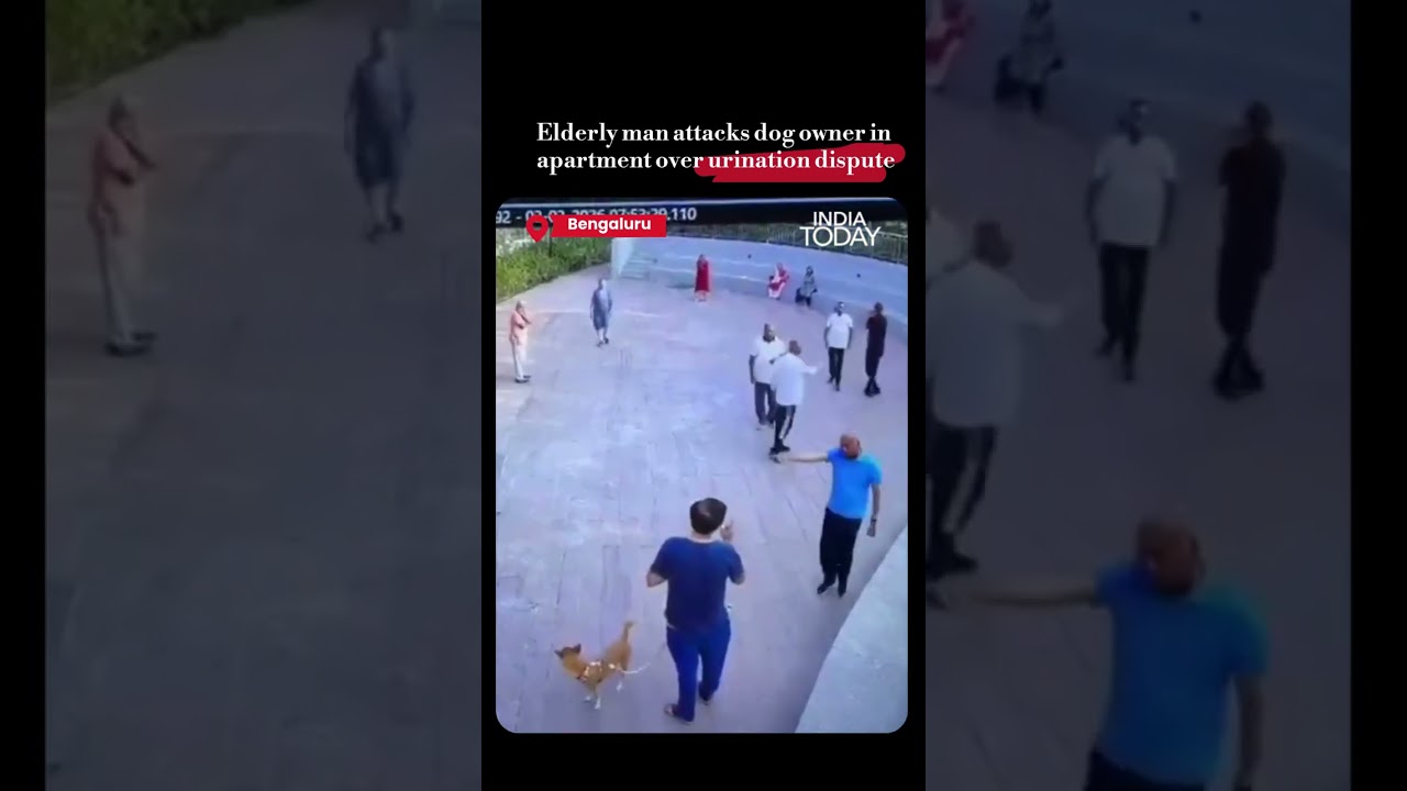 Viral Video: Dog Urination Row Sparks Heated Clash At Bengaluru Apartment, Police Complaints Filed