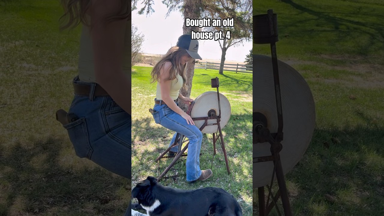 Need Help! ๐
Farm Life Troubles