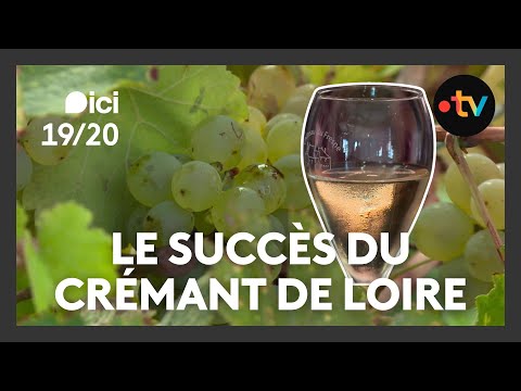 Crémant de Loire, pourquoi un tel succès ? 🥂