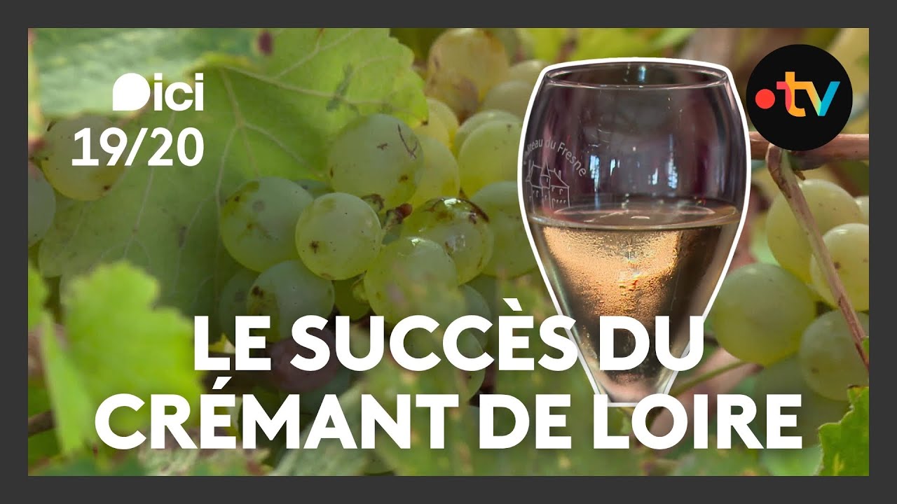 Crémant de Loire : Les raisons de son succès croissant