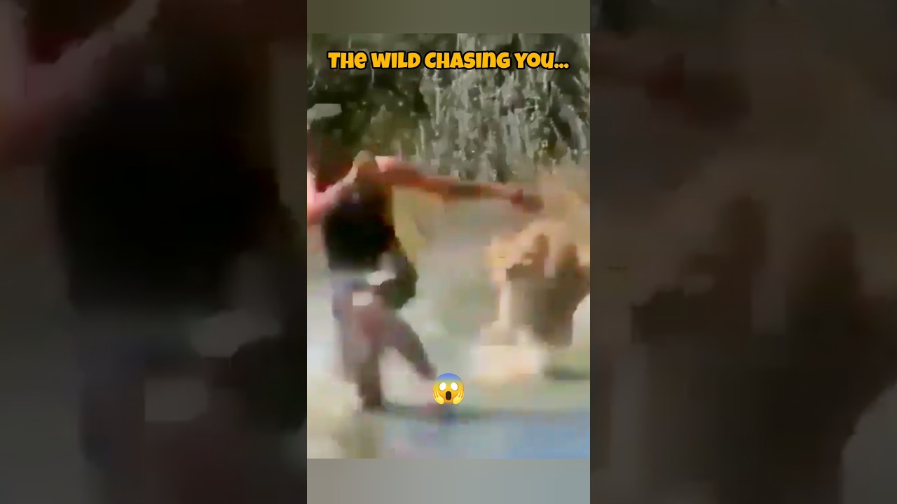Lion Attack: Man Runs for His Life in Wild Chase – Unexpected Twist!