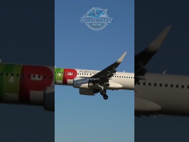 Discover the Romantic Charm of Portugal's City of Love ❤️