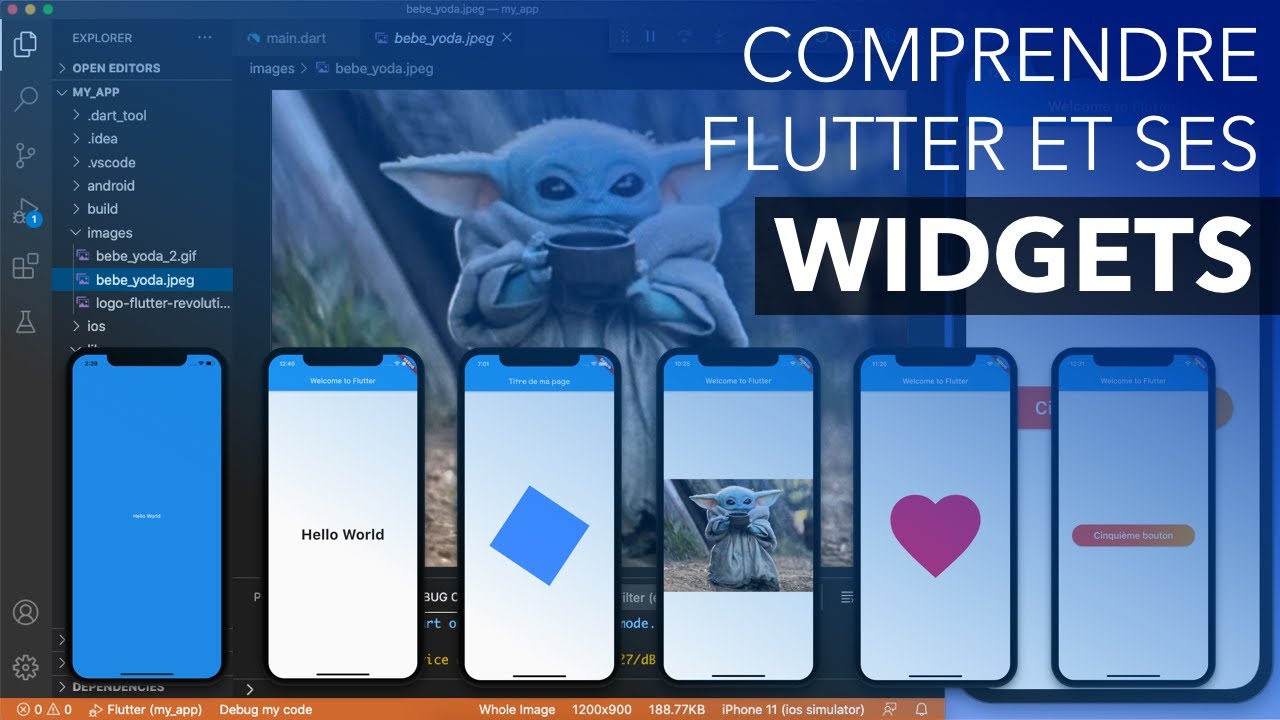 Maîtriser Flutter en 15 Minutes 🚀