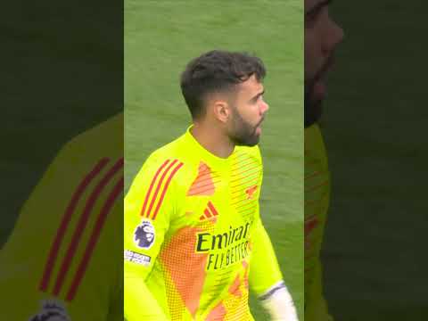 ONE OF THE BEST SAVES YOU WILL SEE! DAVID RAYA π