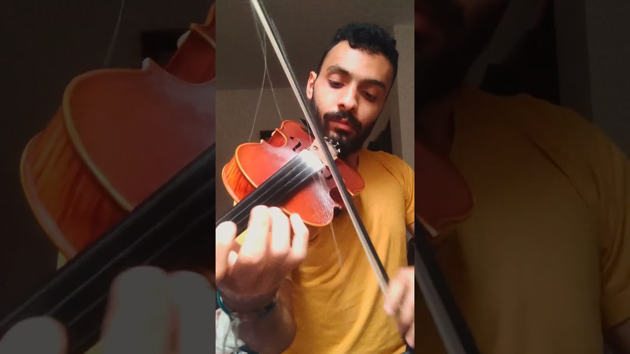 Trash to Magic: Fairytale Violin Cover ✨
