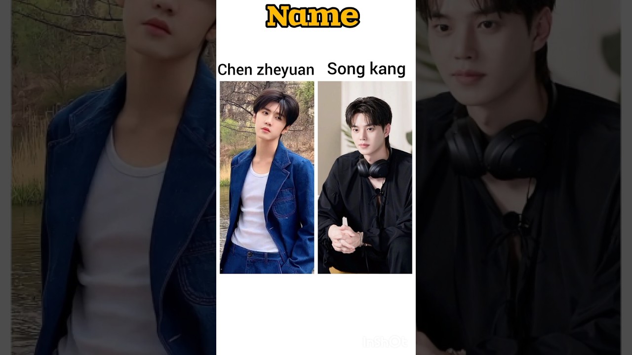 Chen Zheyuan & Song Kang Shine in Vidhoos World 🌟