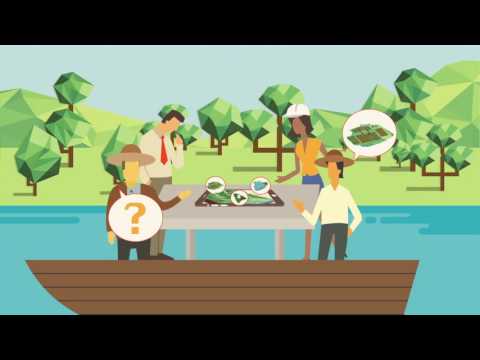 SimBasin: Serious Games to improve serious decision-making