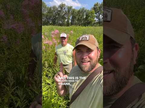 Horns Prairie Grove!! #conservation #grasslands #illinois #prairie