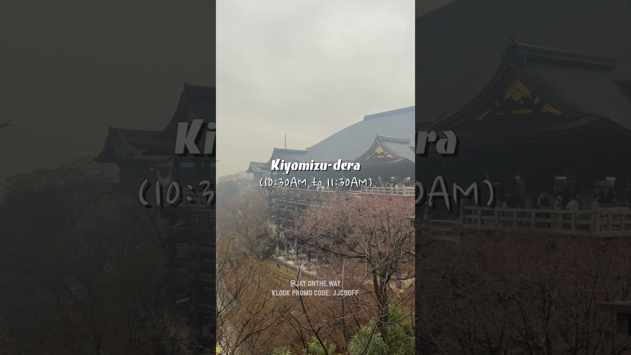 Kyoto in 1 Day: Top Spots to Explore 🏯