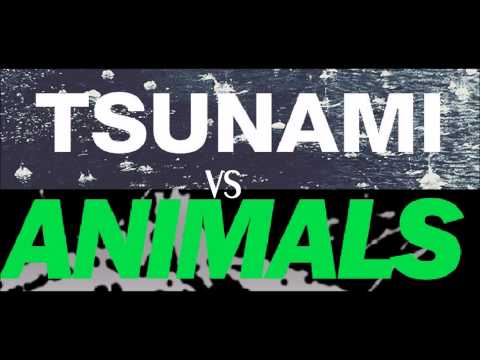 Martin Garrix Animals Vs. DVBBS Tsunami