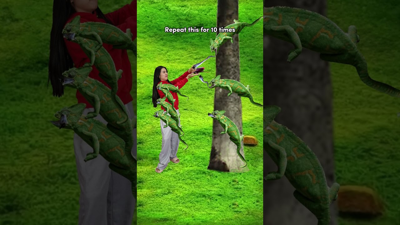 Ace Your Math Exams: Proven Tips to Score an A 📚