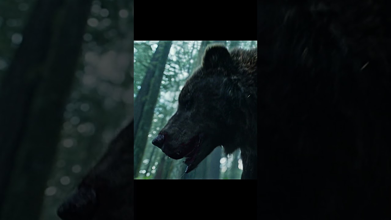 Bear Attack Scene in The Revenant (2015) 🐻