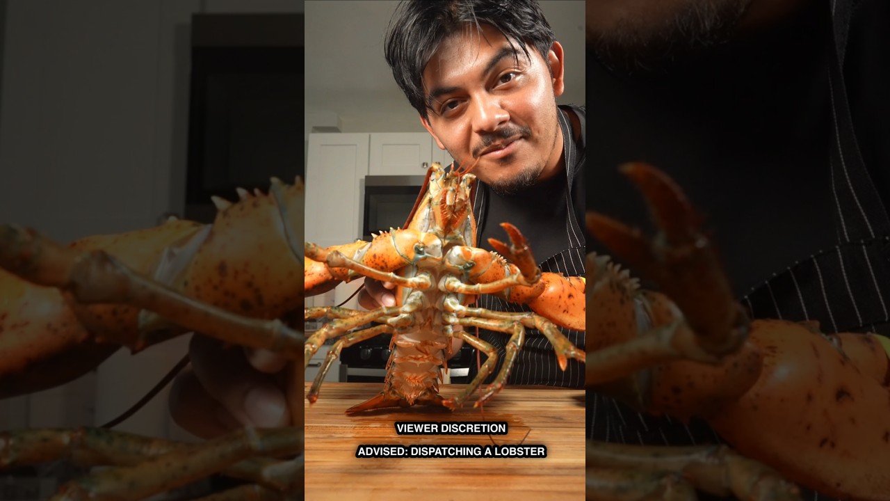 Humane & Quick Lobster Preparation 🦞