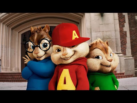 Balti - Dima Mechi (Squirrel Sounds, Music)|Elegant Echoes