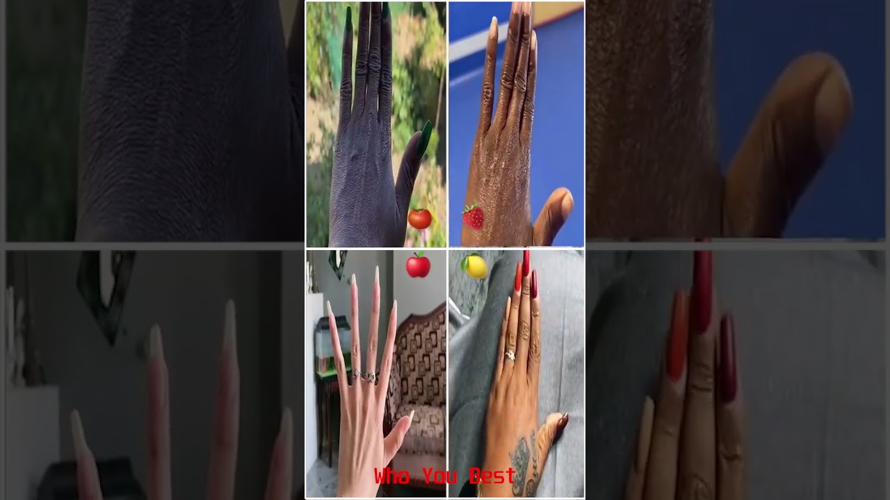 Who’s Your Best? TikTok Meme Reaction 🎥