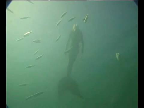 Real Mermaid Filmed in Australia π