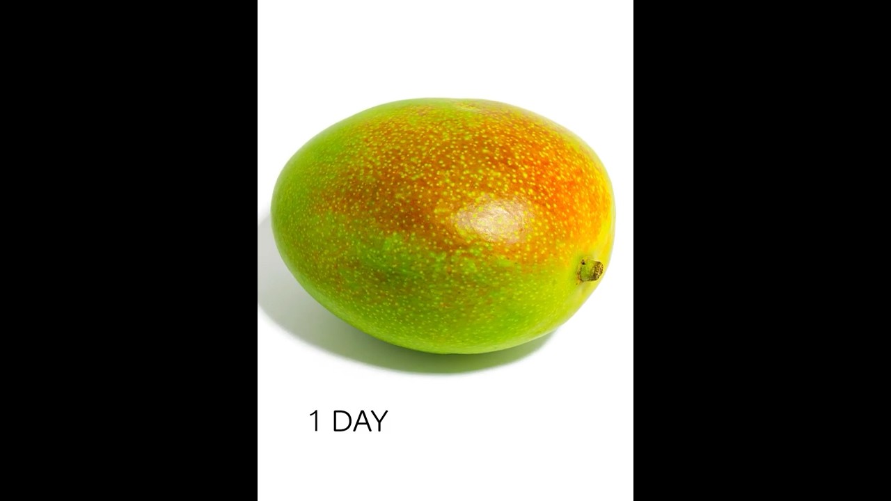 Mango Timelapse #Shorts