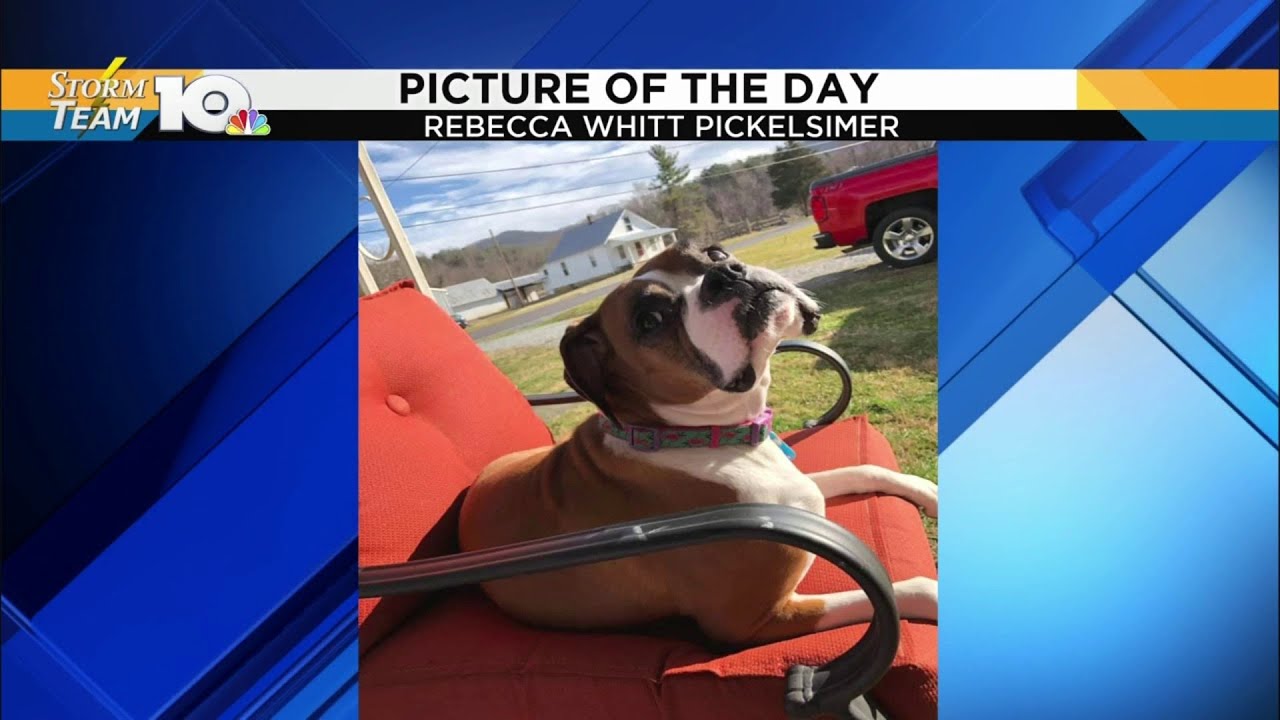 Picture of the Day - February 27, 2019