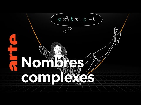 Pique-nique sur le plan complexe | Voyages au pays des maths | ARTE