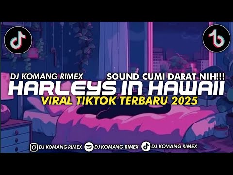 DJ HARLEYS IN HAWAII JEDAG JEDUG FULL BEAT VIRAL TIKTOK TERBARU 2025 DJ KOMANG RIMEX