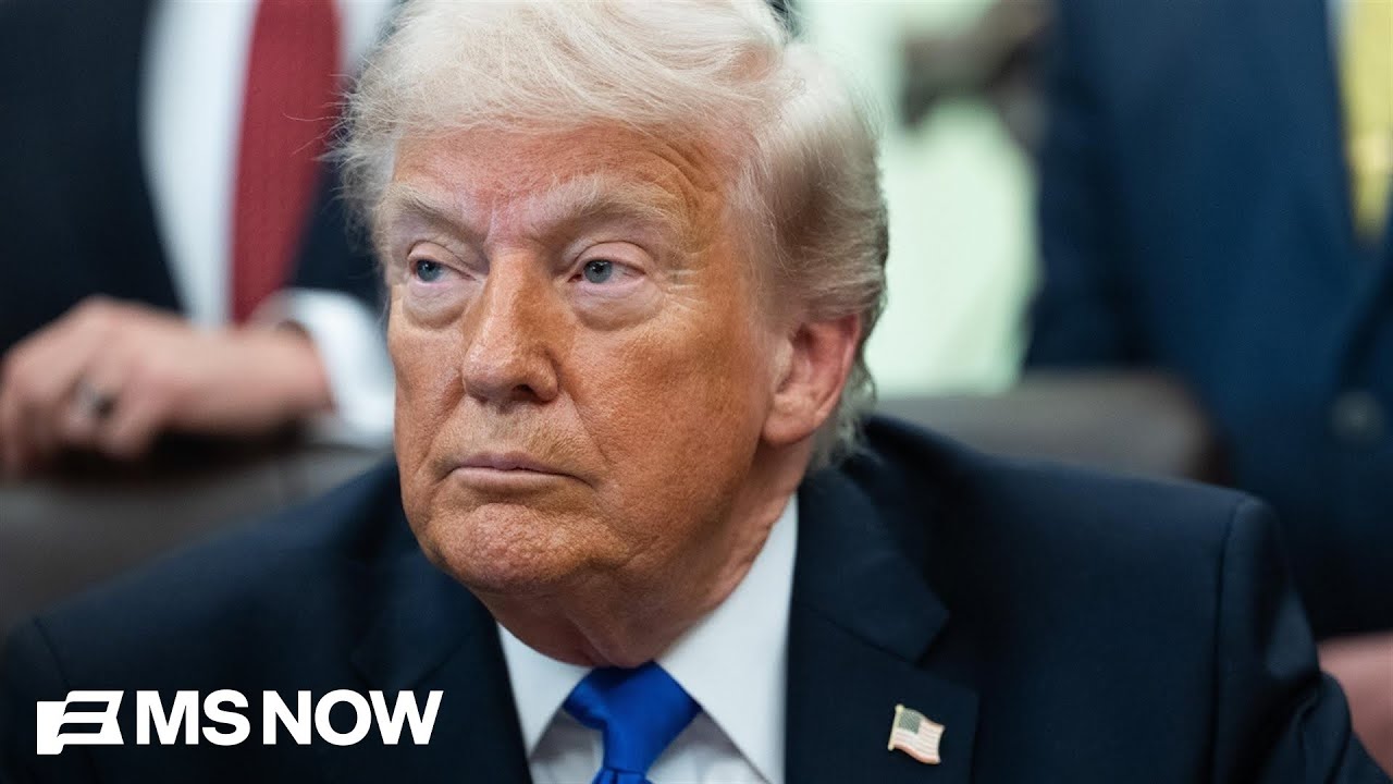 Ex-GOP Strategist: Trump Losing on All Issues 📉