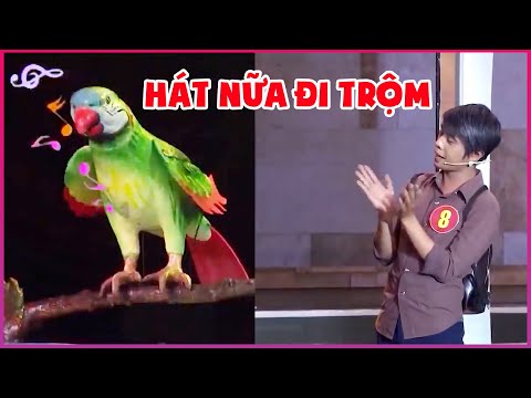 Tuấn Dũng & Đồng Bọn Đi trộm Của Quý Bị Két Lột Lưỡi Hành Hát Bolero Mệt Xỉu - Phim Hài THVL