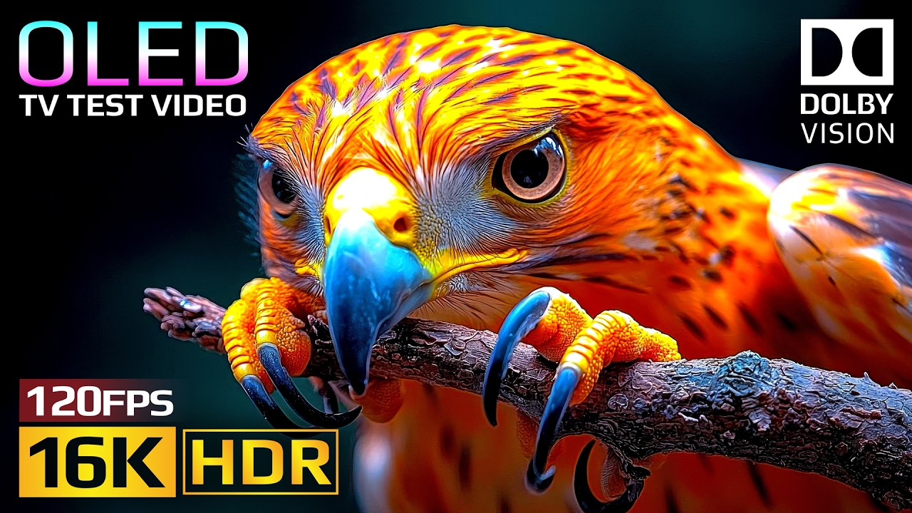 Premium+ OLED Nature Test: 16K HDR & Dolby Vision 🌿
