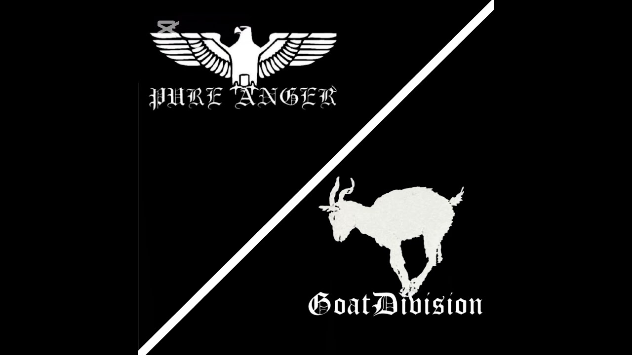 GoatDivision/Pure Anger - NSZ (D88 Cover)#nolyricsmusic#blackmetal#goatdivison#shorts#warmetal#fyp