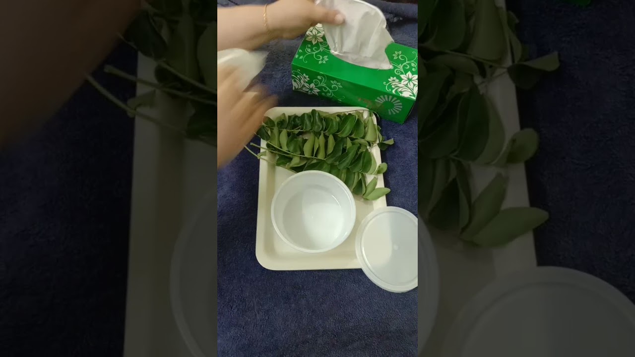How to store curry leaves for long time..(max one month) keep in fridge ..