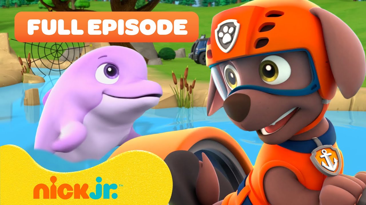 PAW Patrol Pups Save Dolphin Pup! 🐬 Full Episode