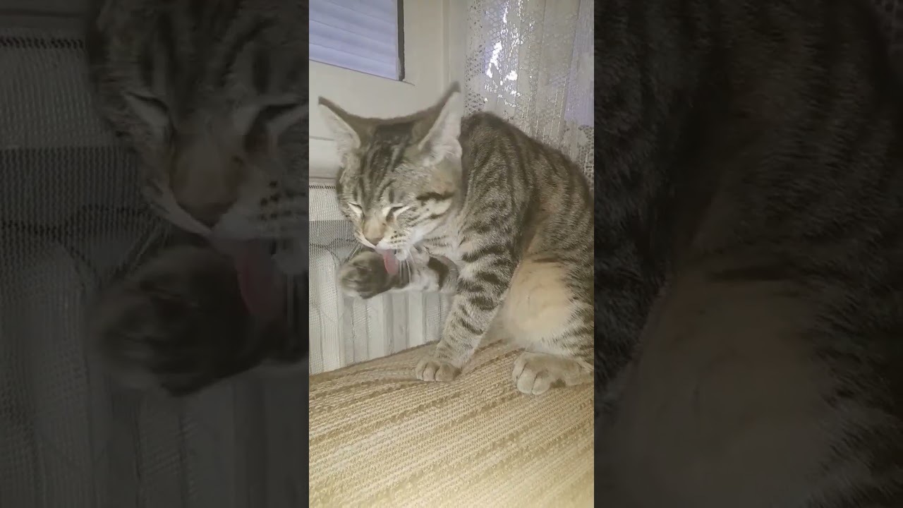 Come Lavarsi il Viso: Consigli per una Pelle Sana e Fresca 🧖‍♀️