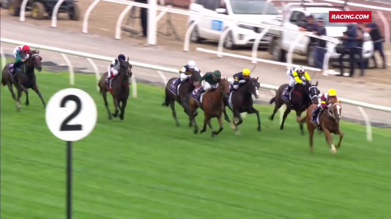 Australian Guineas Day Race 2: Roy Higgins Quality - Exciting Thoroughbred Action 🏇