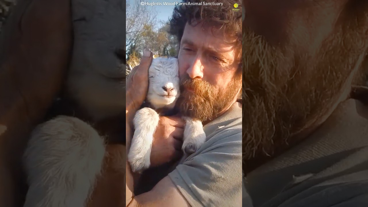 Animals Teach Us Love ❤️