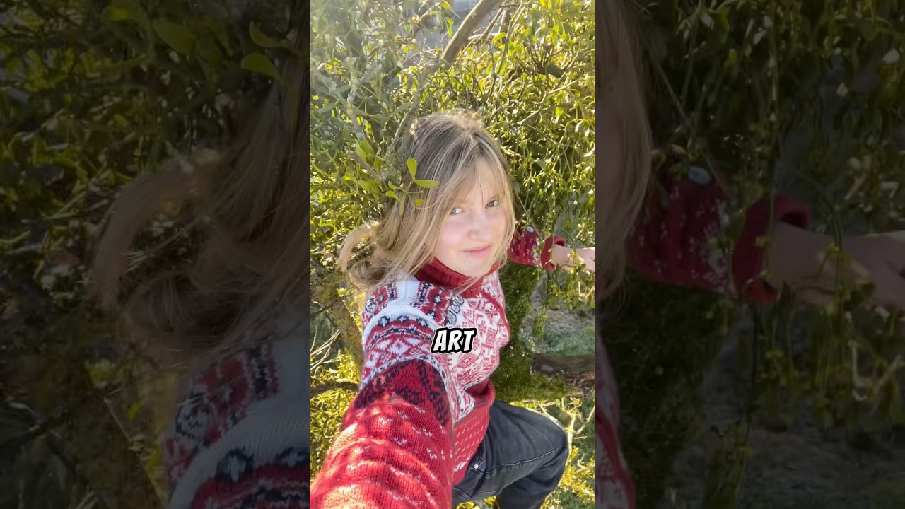 Ich bin Erwachsen und klettere immer noch Bäume.#baum #erwachsen #klettern