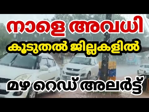 നാളെ അവധി | കൂടുതൽ ജില്ലകളിൽ അവധി മഴ മഴ kerala news| kerala rain news today #MalayalamNewsLive