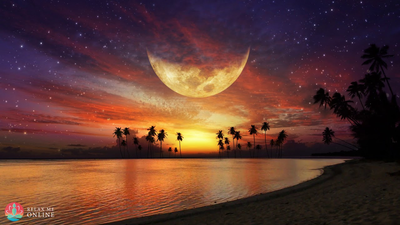 Manifest Love Before Sleep 🌙