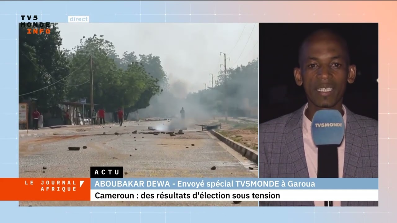 Cameroun : des résultats d'élection sous tension